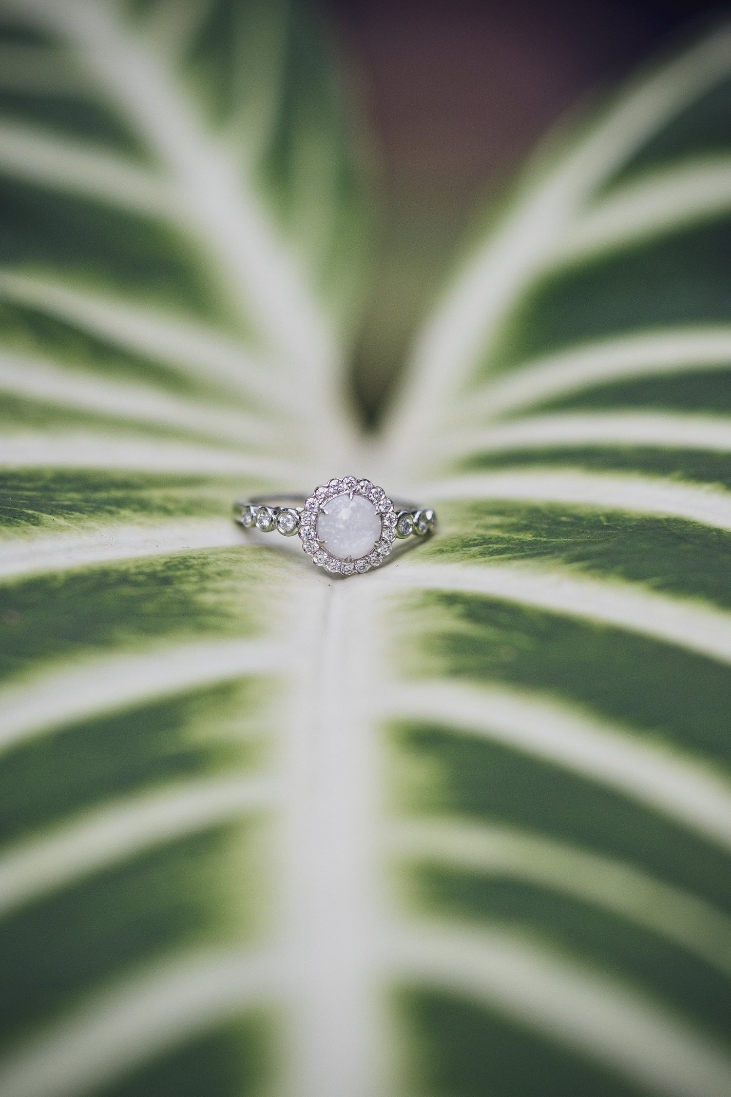 The Eternal Halo Ring holding breastmilk, cord, ash, hair or fur in a diamond halo