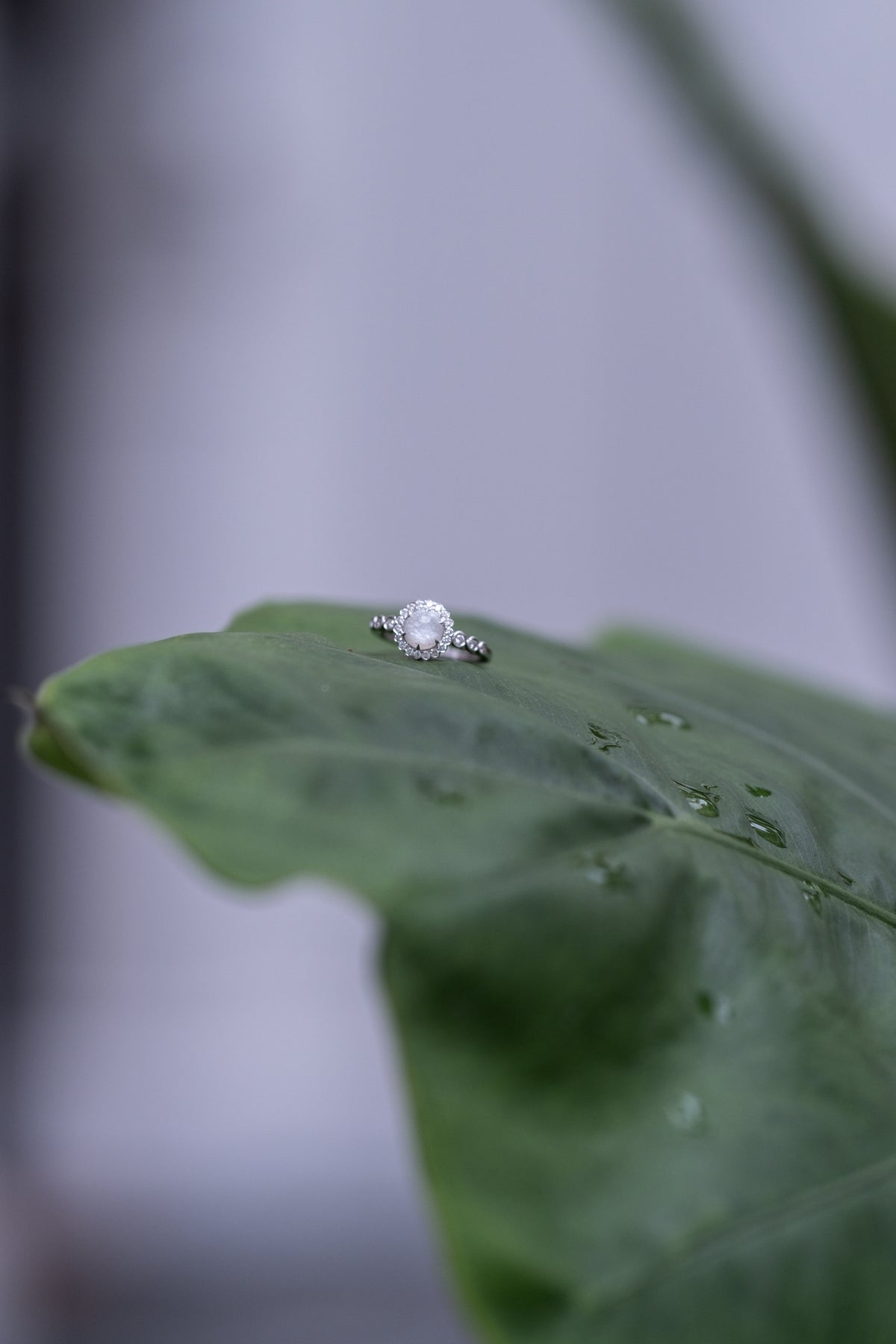 Breastmilk keepsake stone framed by a diamond halo, Eternal Halo Ring in solid gold