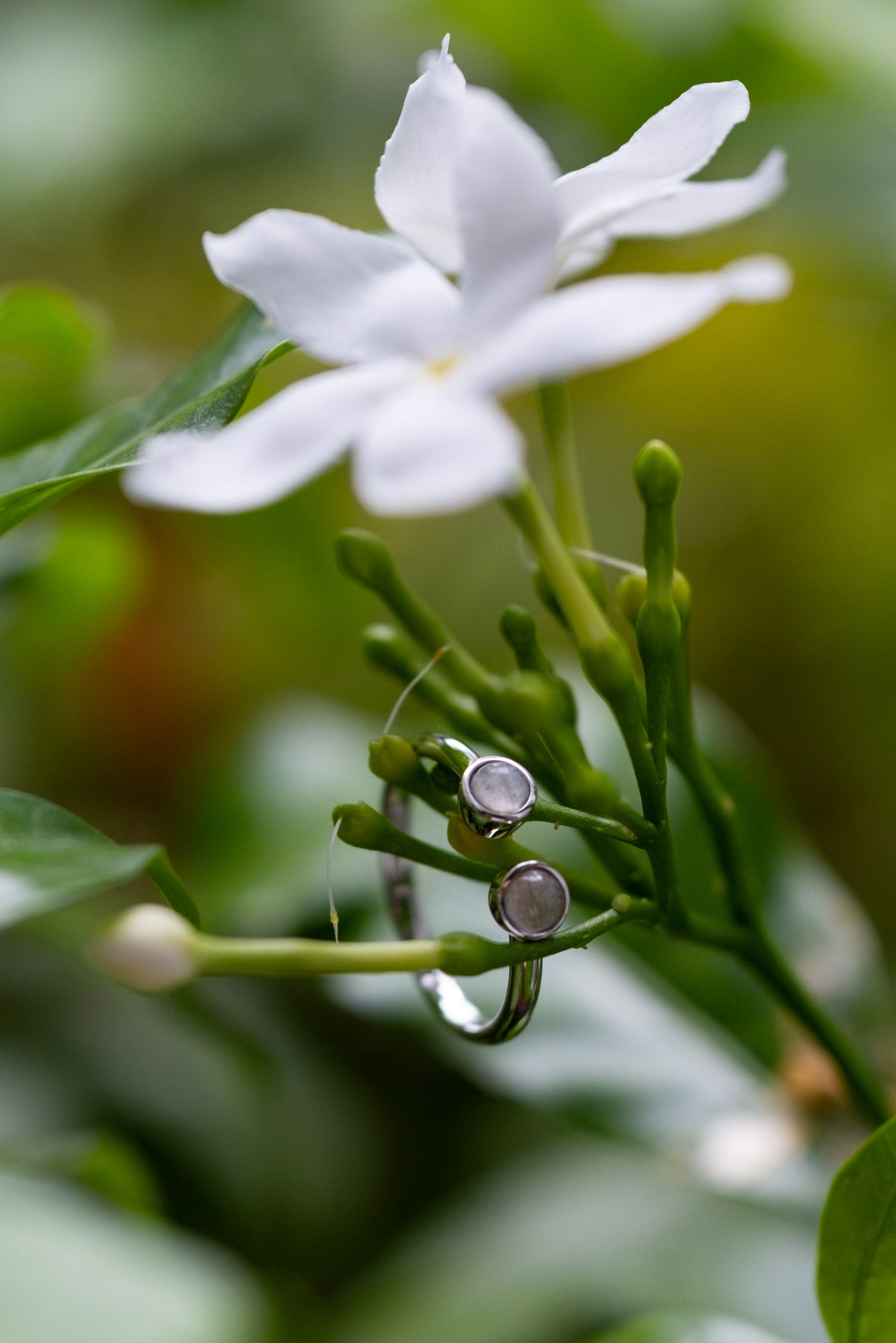 The Embrace breastmilk ring in solid gold with two preserved stones on an open band