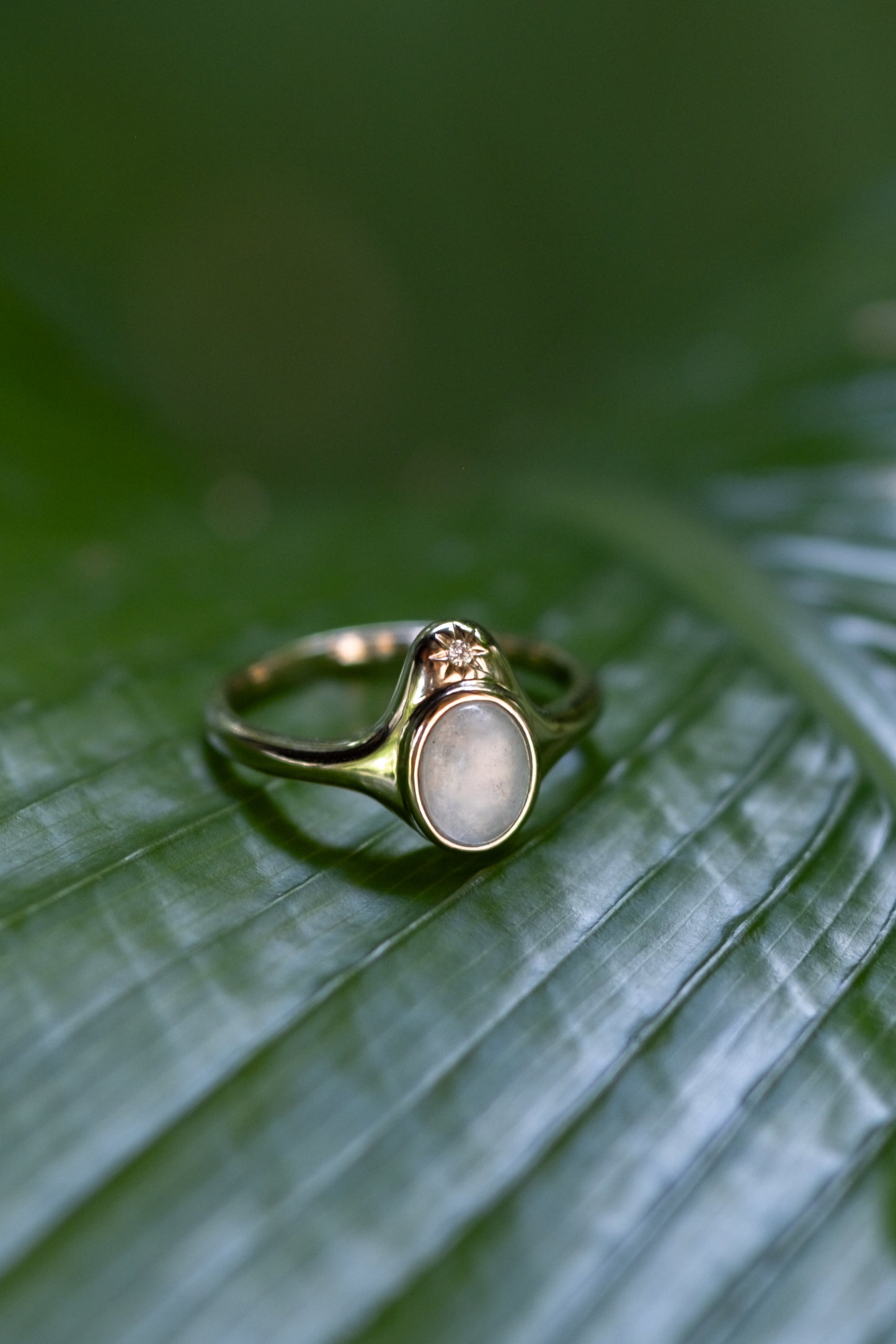 The North Star Ring
