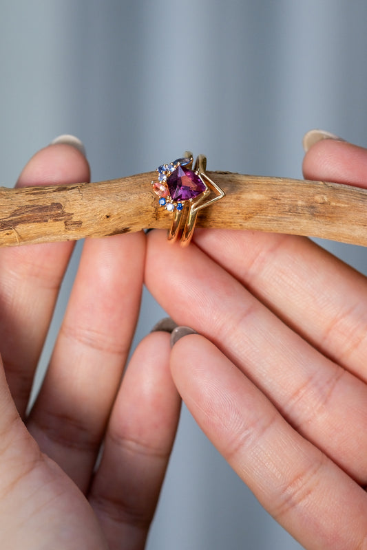The Sentinel Ring