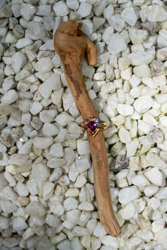 The Sentinel Ring